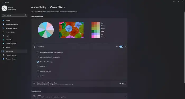 How To Make Windows 11 Accessible (Ease Of Access) 9 Color filters accessibility page