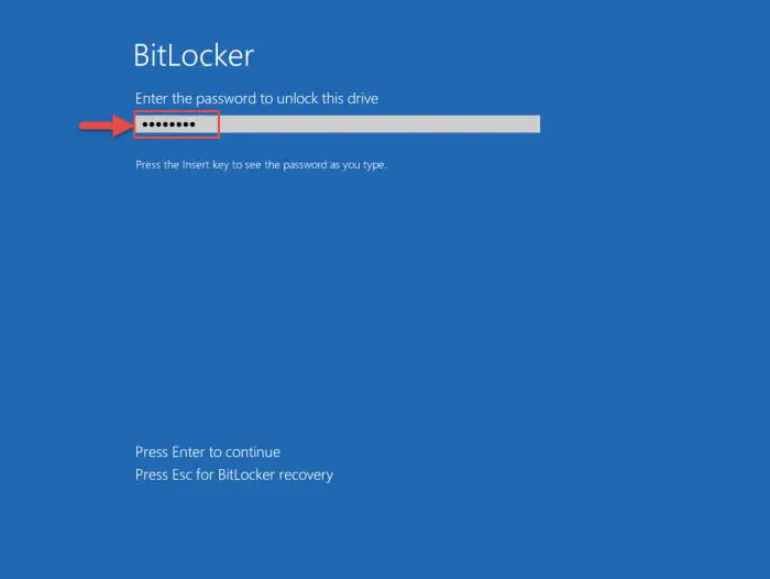 How To Manage BitLocker Using Command Line in Windows (Manage-bde) 12 enter pw