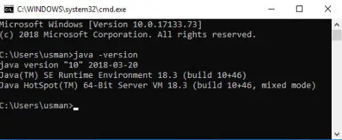 Java 10 version check Java 10 version check