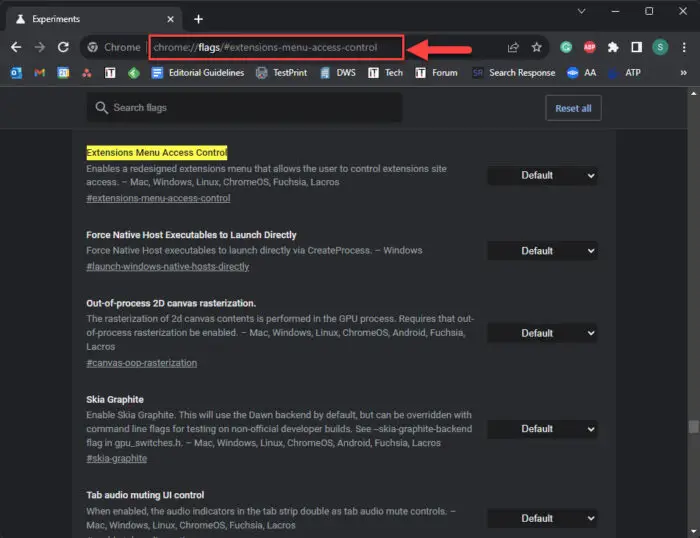 Open the Chrome flag settings